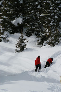 children playing in the snow